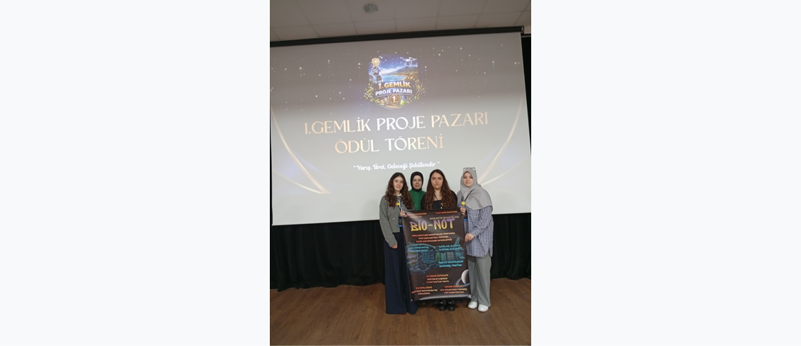  gemlikprojrpazarı